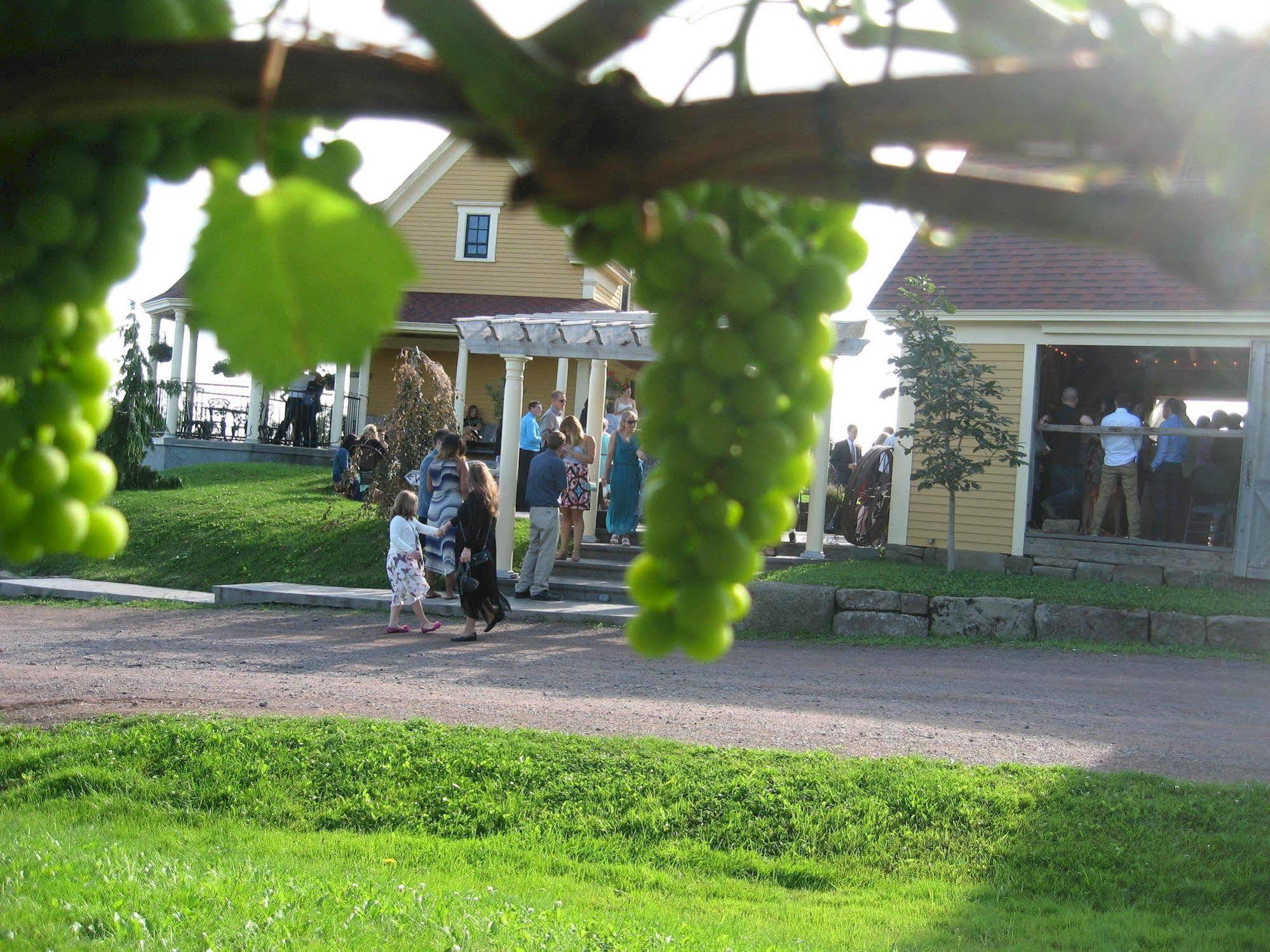Отель Magnetic Hill Winery Монктон Экстерьер фото